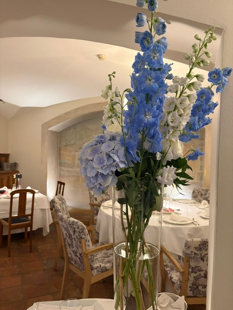 56bced99 fef9 4f25 9f47 1c27200661bc